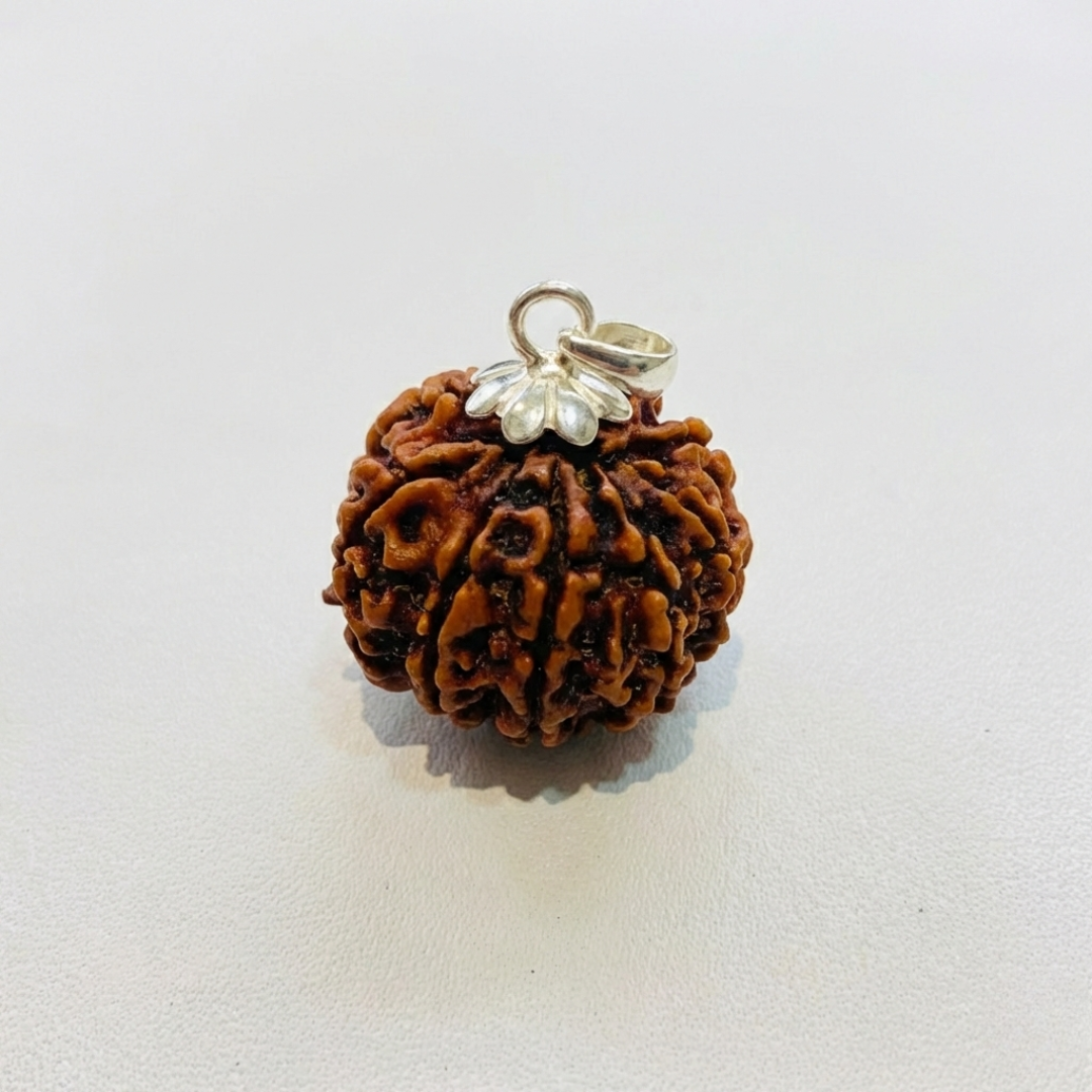 10 Mukhi Rudraksh (Nepali)
