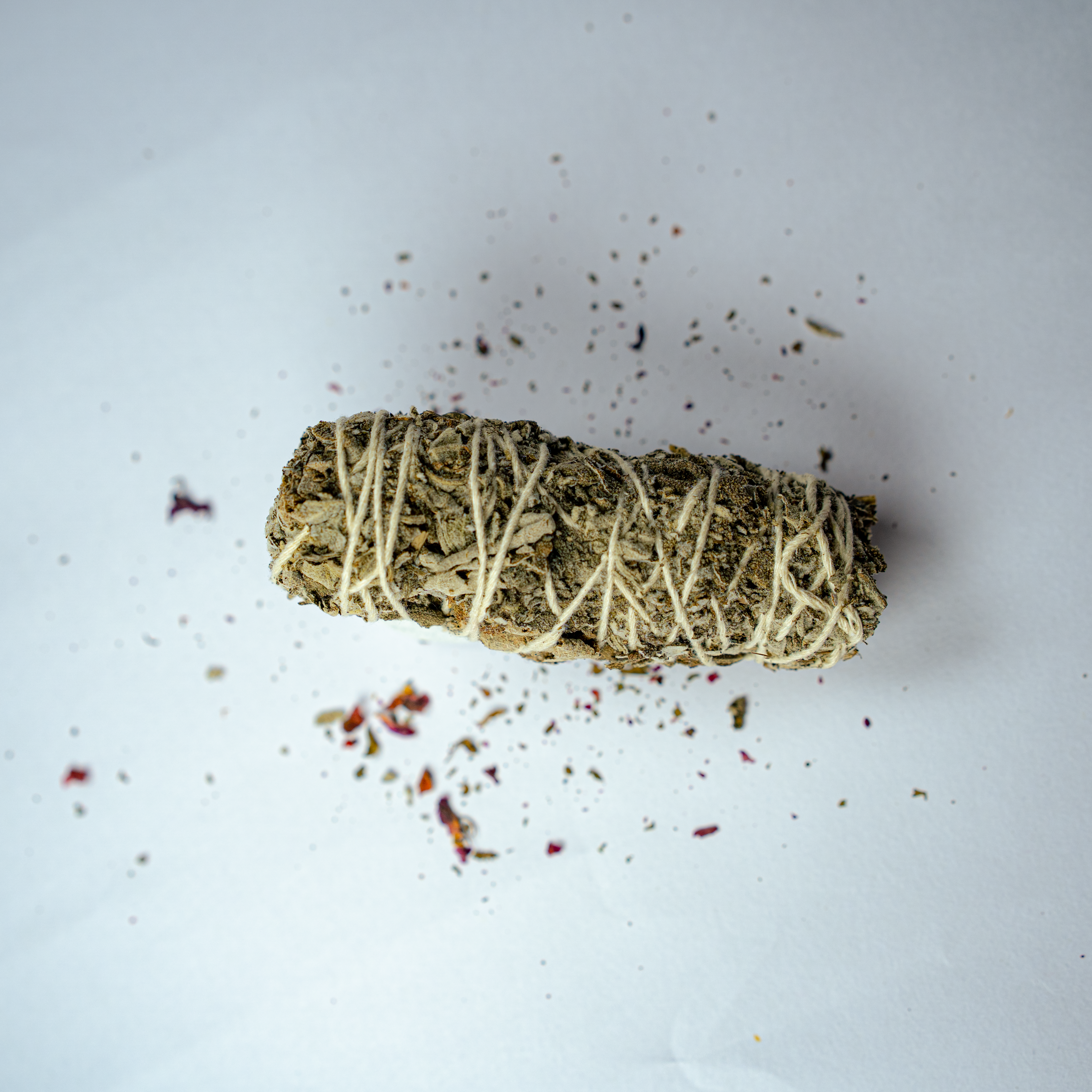 Himalayan Sage